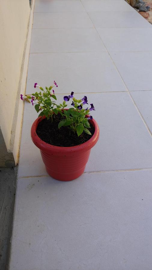 Hotel Casal Ostara Begonia Alto Paraíso de Goiás Exteriér fotografie