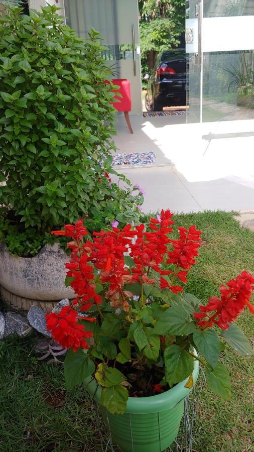 Hotel Casal Ostara Begonia Alto Paraíso de Goiás Exteriér fotografie
